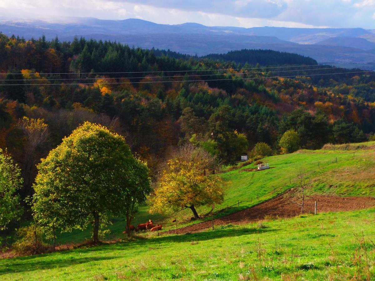 Le Vallon D'Armandine, Gite Ecologique Auvergne Saint-Hilaire  Eksteriør bilde