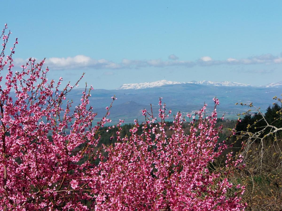 Le Vallon D'Armandine, Gite Ecologique Auvergne Saint-Hilaire  Eksteriør bilde