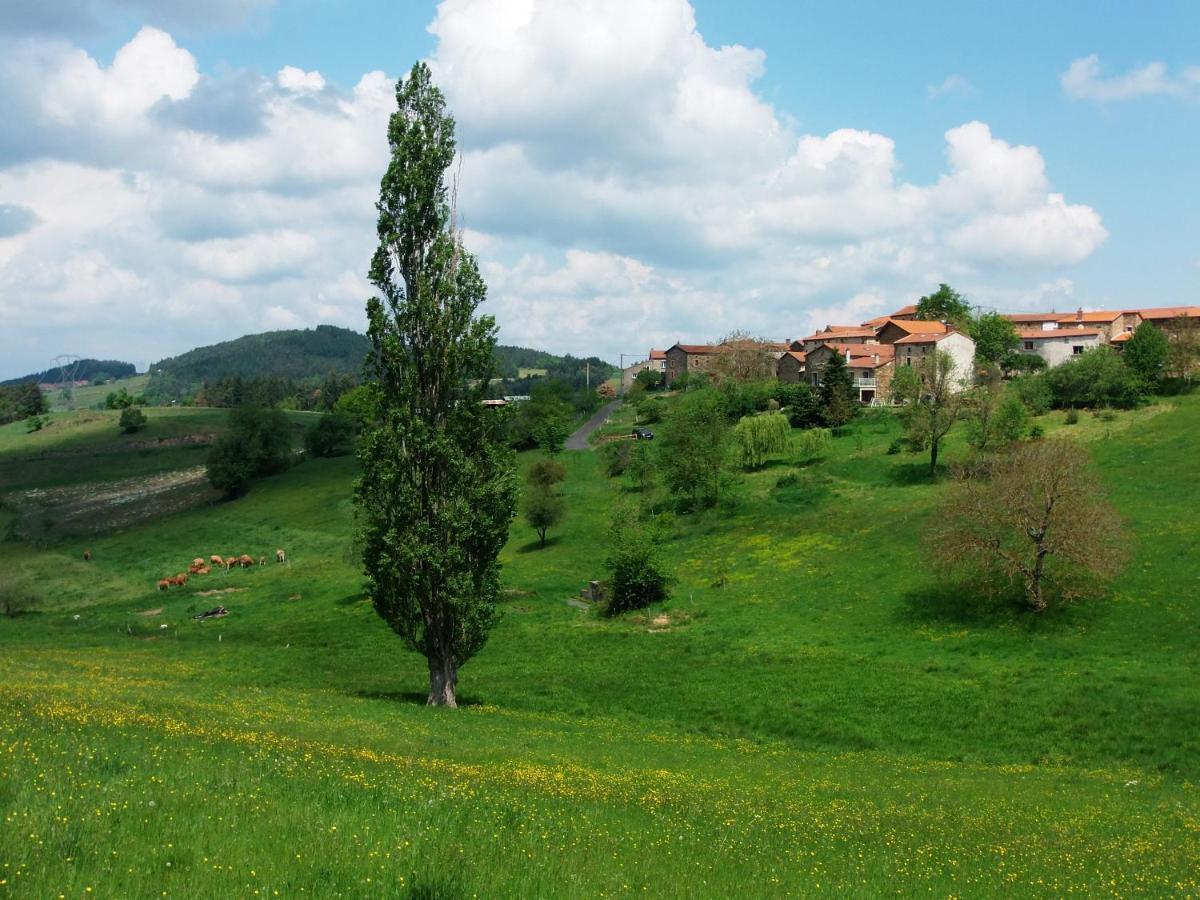 Le Vallon D'Armandine, Gite Ecologique Auvergne Saint-Hilaire  Eksteriør bilde
